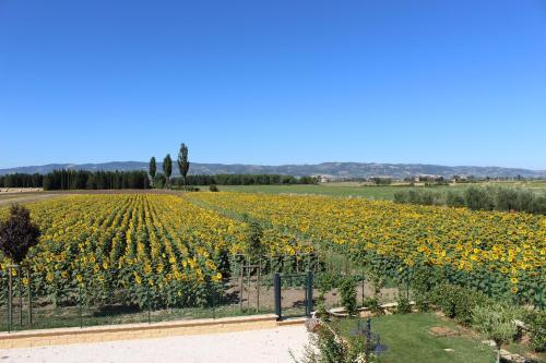 Apartamento Il Podere Di Francesco