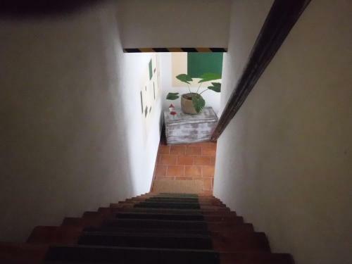 Agroturismo Stasion Di Pueste