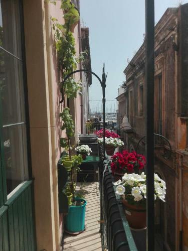 Apartamento La Casa Rosa