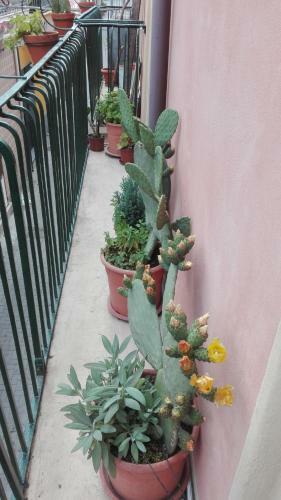 Apartamento La Casa Rosa
