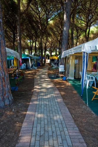 Camping Village Africa