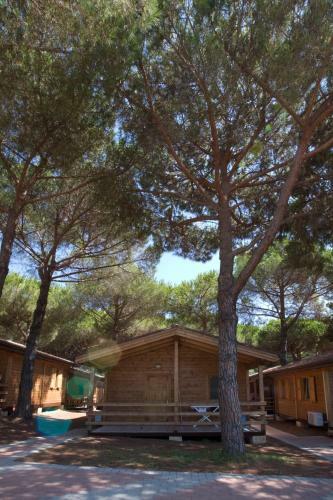 Camping Village Africa