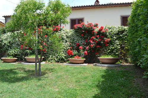 Agroturismo Agriturismo La Ghiraia