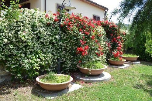 Agroturismo Agriturismo La Ghiraia