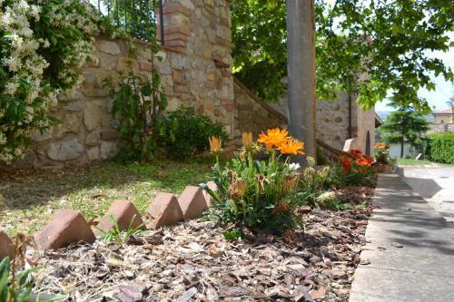 Agroturismo Agriturismo La Ghiraia