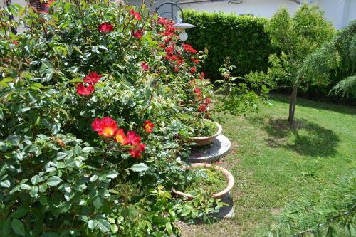 Agroturismo Agriturismo La Ghiraia