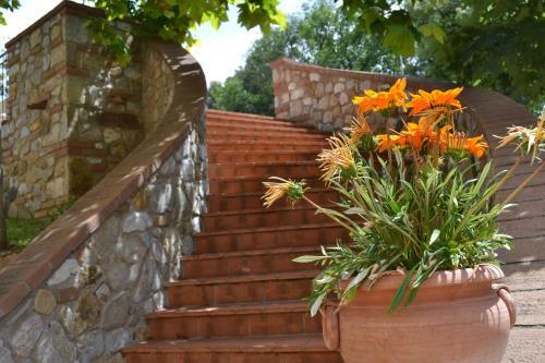Agroturismo Agriturismo La Ghiraia