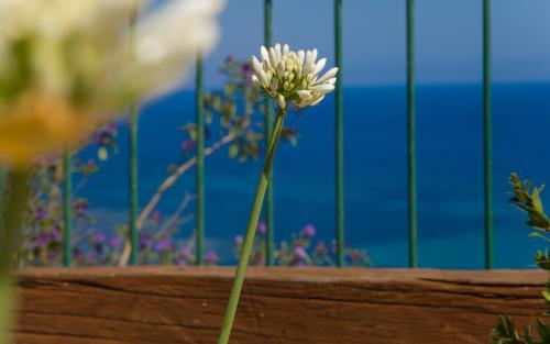 Terrazza Sul Mare