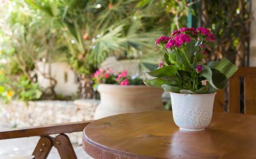 Terrazza Sul Mare