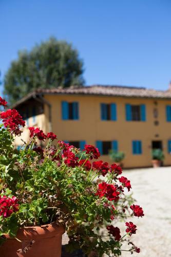 Hostal Bassetto Guesthouse