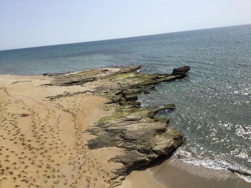 Hostal B&B Levante