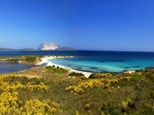 Apartamento Residence San Teodoro 1