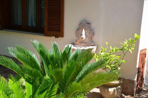 Villa Guest House Belvedere