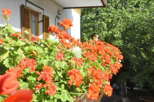 Hotel Garni Kofler
