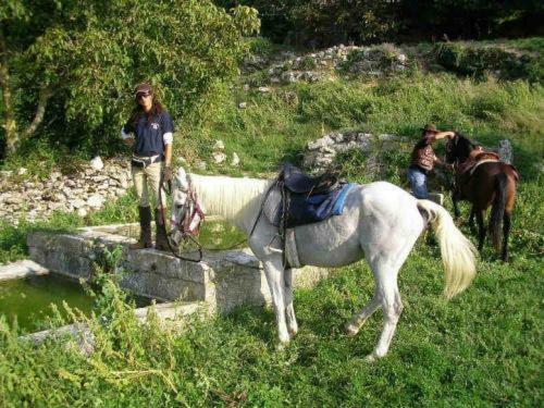 Agroturismo Il Felcino