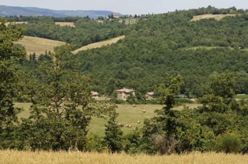 Agroturismo Il Felcino