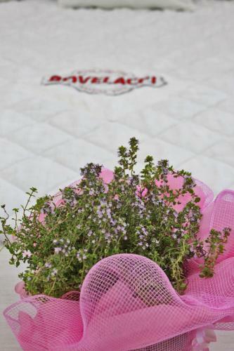 Boutique Hotel Paradiso
