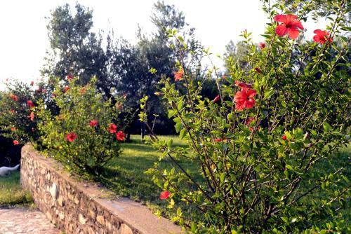 Agroturismo Agriturismo Le Carolee