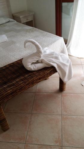 Hotel Tabby