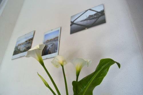 Da Giacomo Apartment