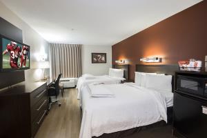 Hotel Red Roof Inn Saugus