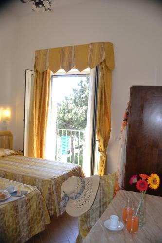 Hotel Royal Hills