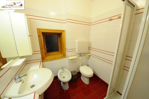 Apartments In Casa Florin