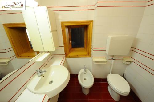 Apartments In Casa Florin