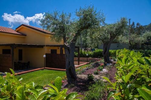 Baia Degli Ulivi Apartments