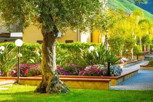 Baia Degli Ulivi Apartments
