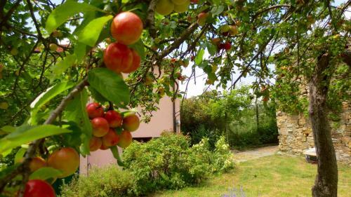 Apartamento Borgata Castello