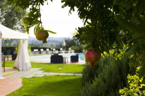 Agroturismo Agriturismo Marrucola