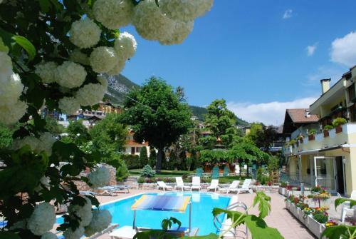 Hotel Alle Dolomiti