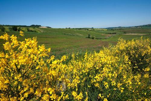 Apartamento Casale La Collina