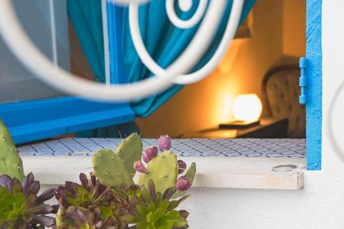 Apartamento Allegra Experience