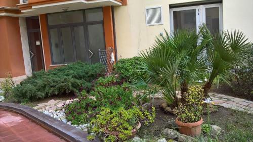 Apartamento Appartamento Tulipano