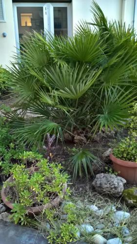 Apartamento Appartamento Tulipano