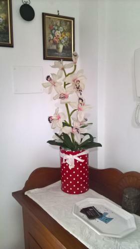 Apartamento Appartamento Tulipano