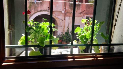 Apartamento 5 Mins To Rialto Bridge