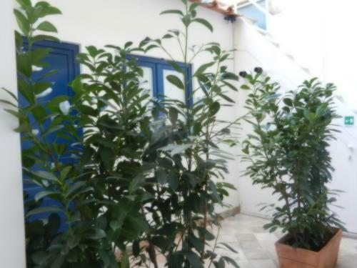 Apartamento My Suite Sorrento