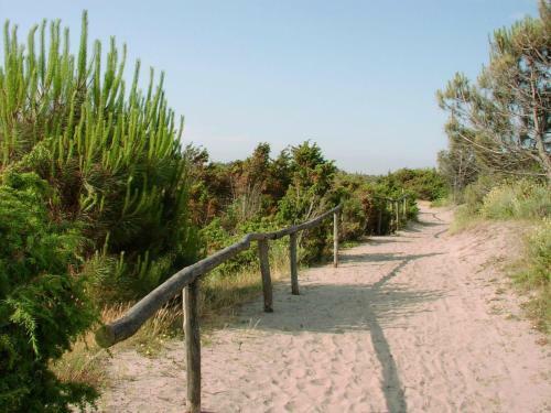 Apartment In Rosolina Mare 16