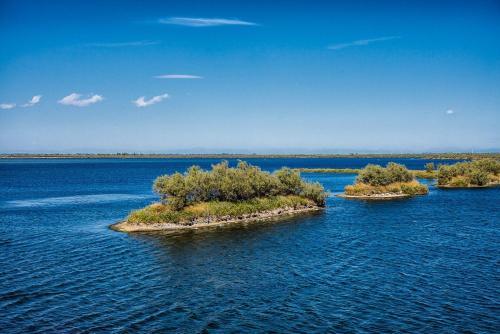 Apartment In Rosolina Mare 16