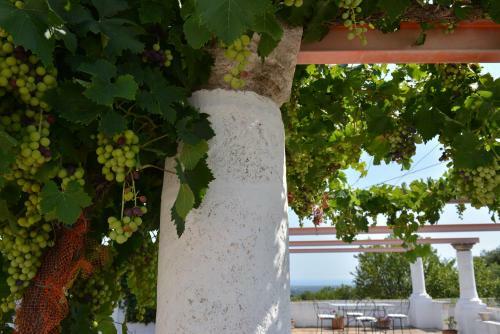 Apartamento Masseria Gravinella