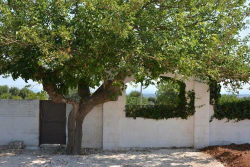 Apartamento Masseria Gravinella