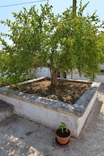 Apartamento Masseria Gravinella