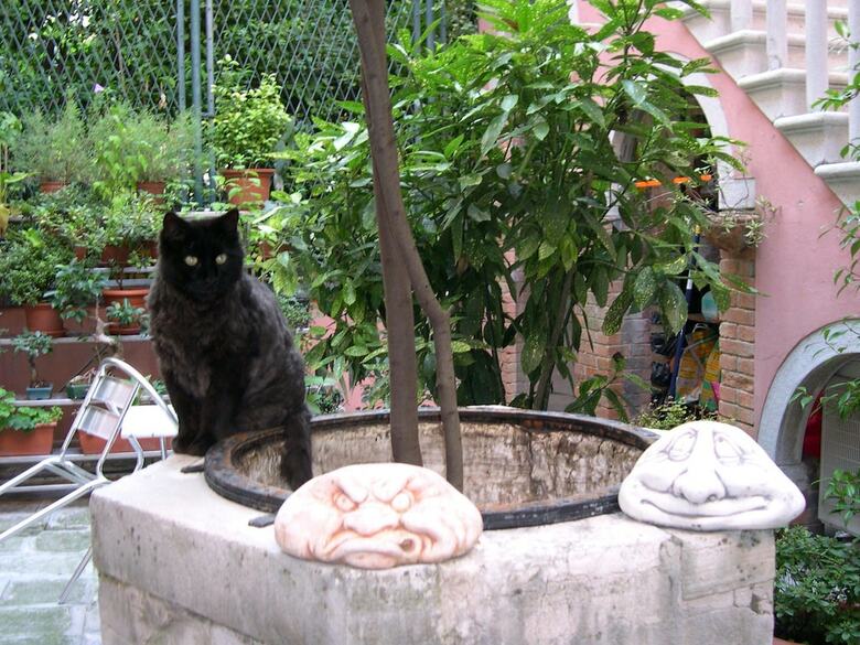 Hostal Antico Portego