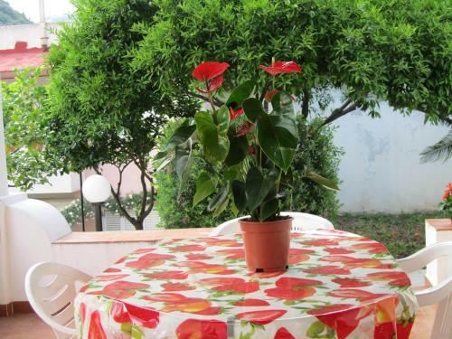 Apartamento Fiori Di Arancio