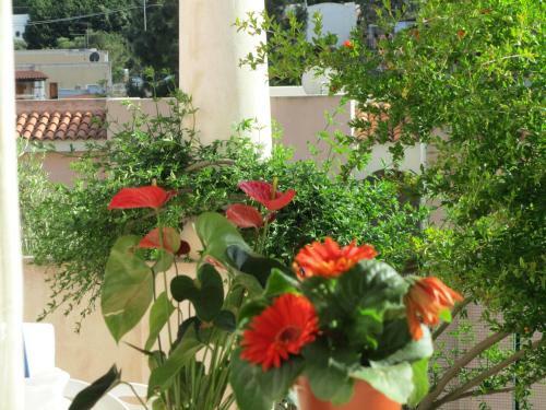 Apartamento Fiori Di Arancio