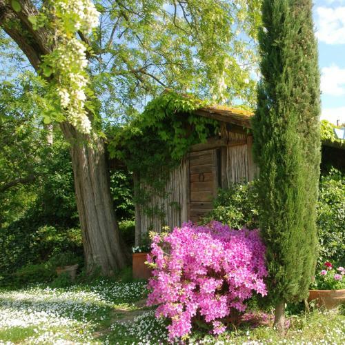 Apartamento Podere Le Murella