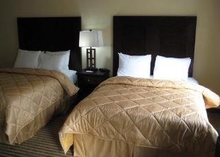 Hotel Comfort Inn Southwest